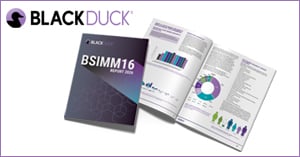 Archivement_Graphic_BD-BSIMM16-Report