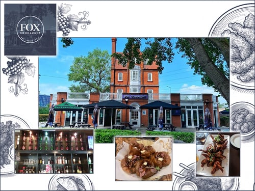 FoxConnaught_Collage_4thMarch2026 FoxConnaught_Collage_4thMarch2026