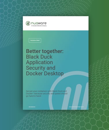 Thumbnail BlackDuck+Docker_SB_Document.