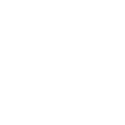 ICON_Application Security_WHITE